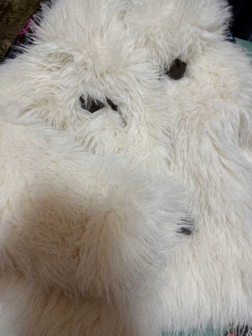 Darich モンスターコート※ノベルティ付き