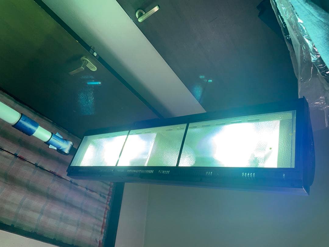 家庭用　日焼けマシーン