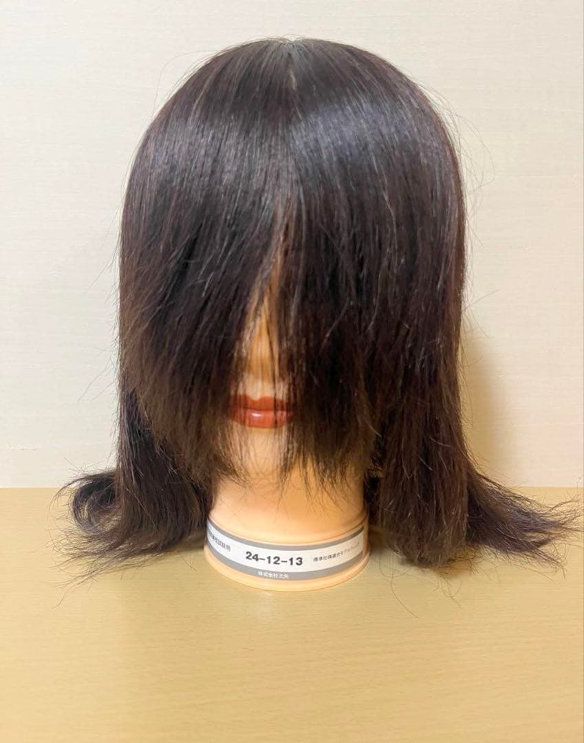 三矢 美容師国家試験用 カットウィッグ 10個