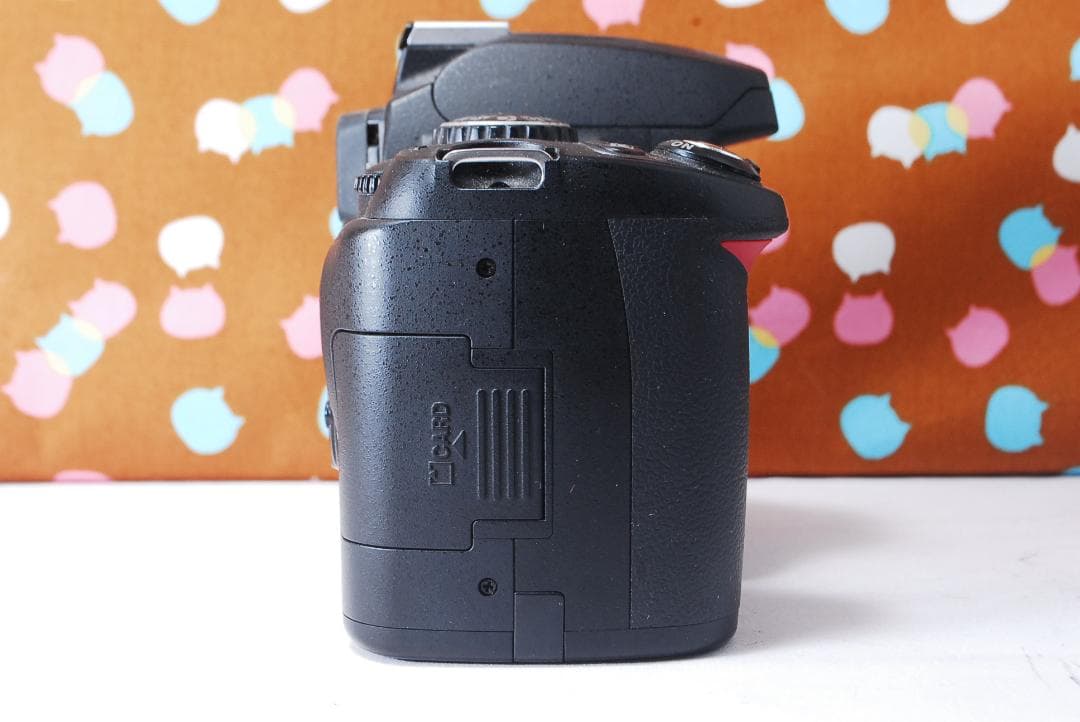 ✨ショット数3295回✨望遠レンズ付き✨Nikon D40 レンズセット