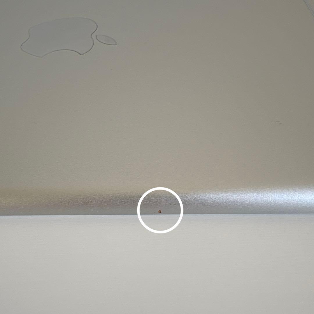 iPad mini5 Wi-Fi+Cellularモデル 64GB SIMフリー