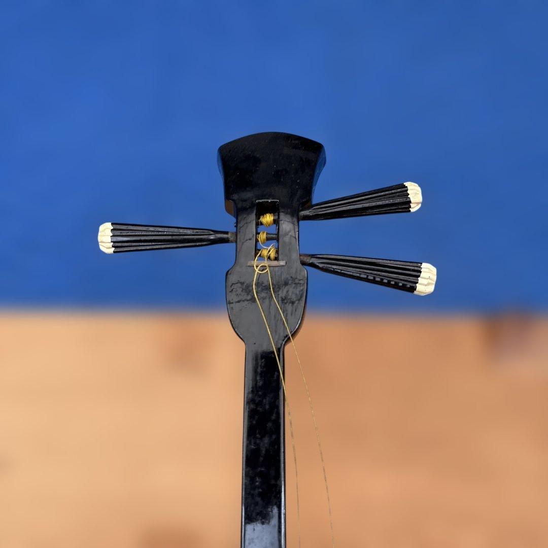 C015 三線　蛇革　蛇皮　※人工ではないとは思いますが判断できません