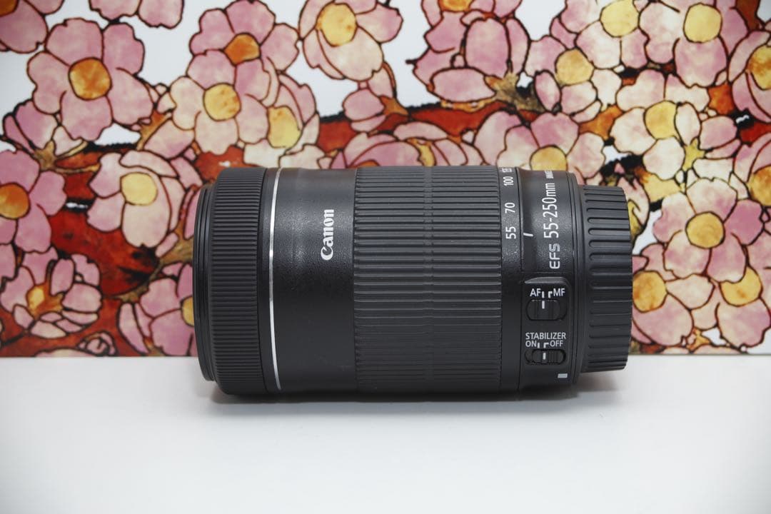 ❤️高性能望遠レンズ❤️Canon EF-S 55-250mm IS STM❤️