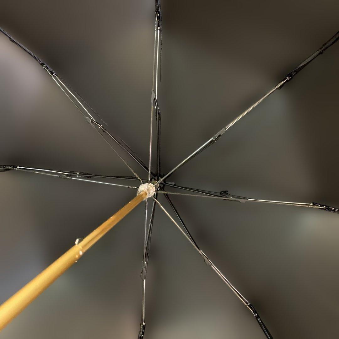 Athena New York アッシーナニューヨーク 日傘 バイカラー