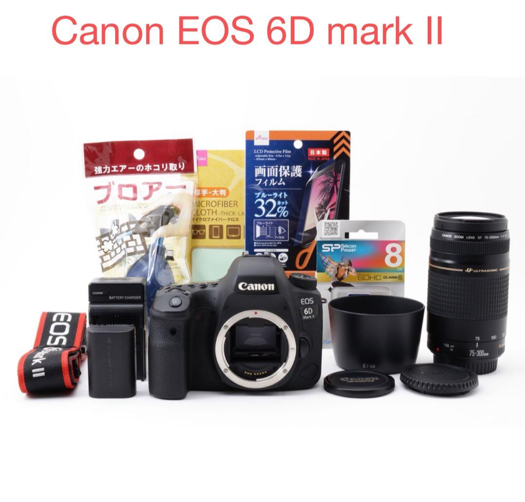 保証付/一眼レフカメラCanon EOS 6D Mark II 望遠レンズセット