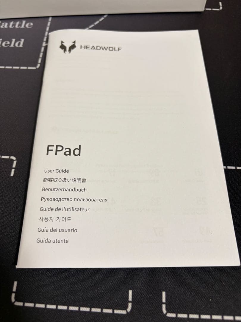 HEADWOLF FPad7 pro 中古ケース・未使用ガラスフィルム1枚付き