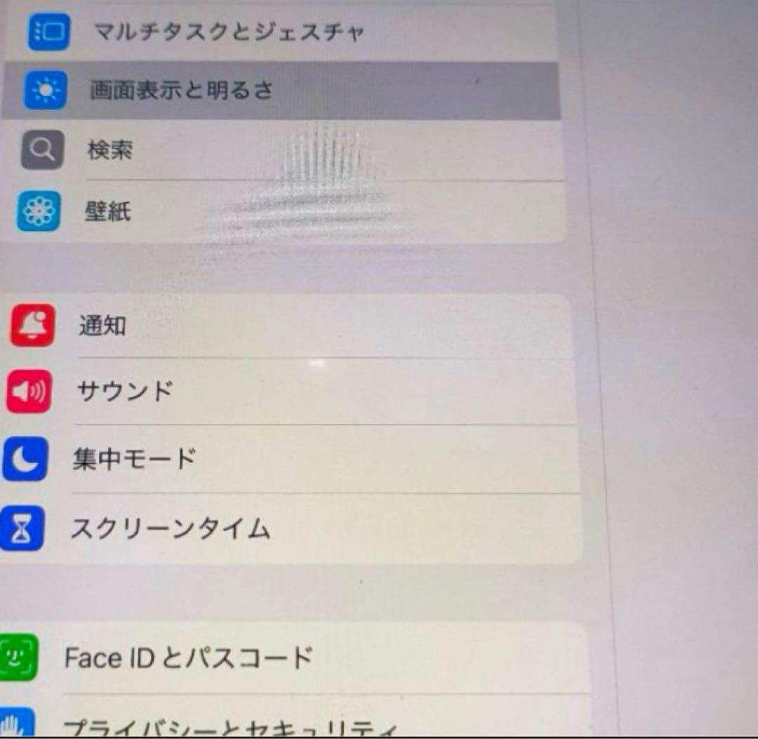 iPad Pro 12.9インチ 128GB 第4世代 (訳あり) 専用