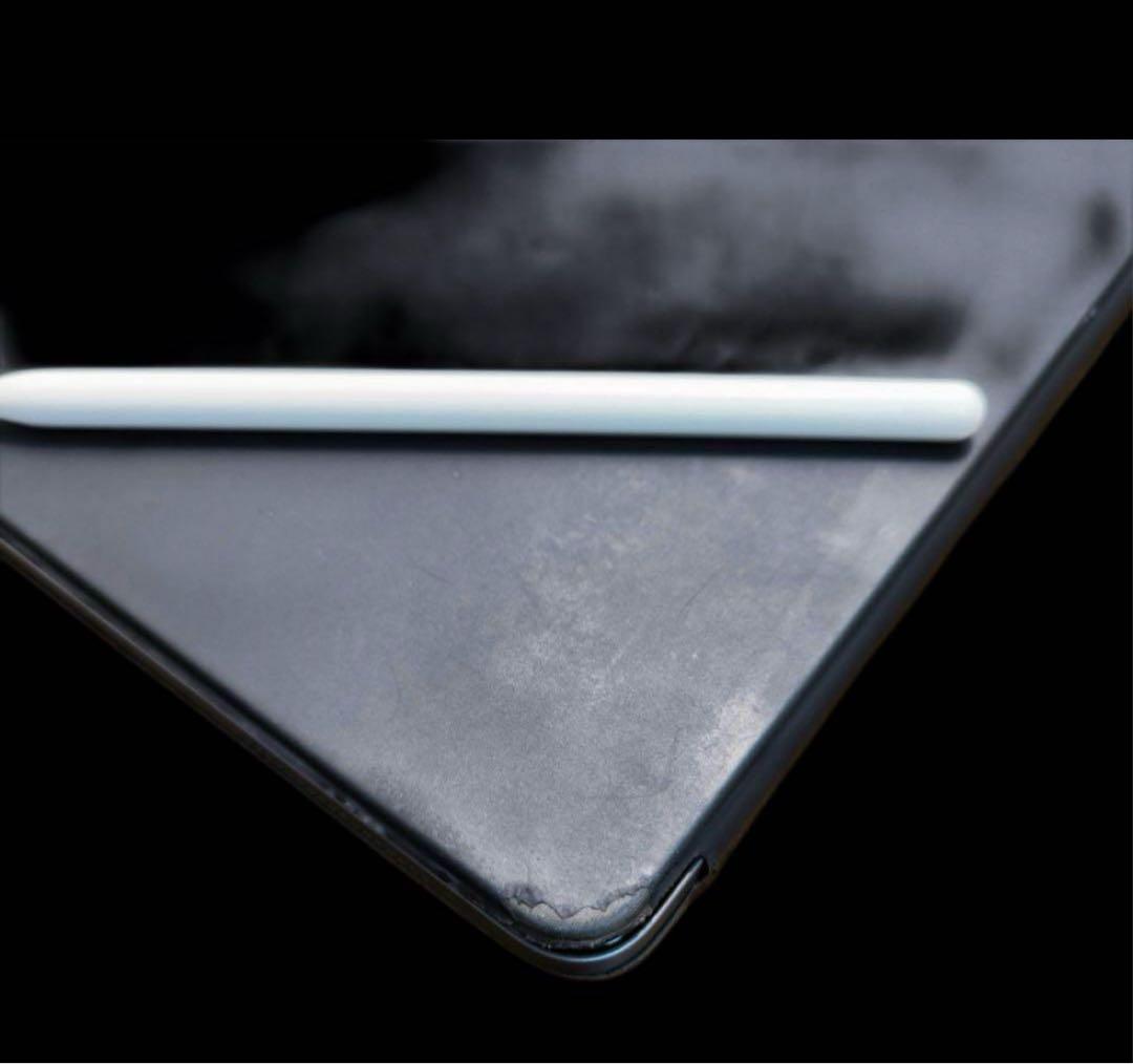 iPad Pro 12.9インチ 128GB 第4世代 (訳あり) 専用