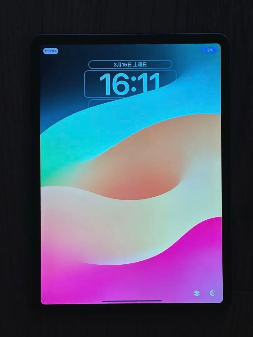 iPad Pro 11インチ