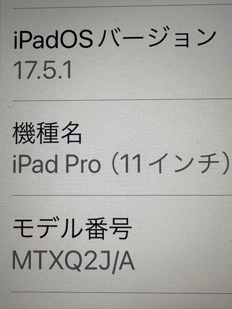 iPad Pro 11インチ