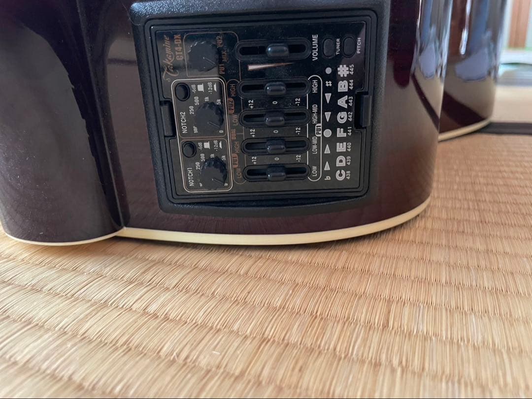 Takamine DMP50S WR アコースティックギター