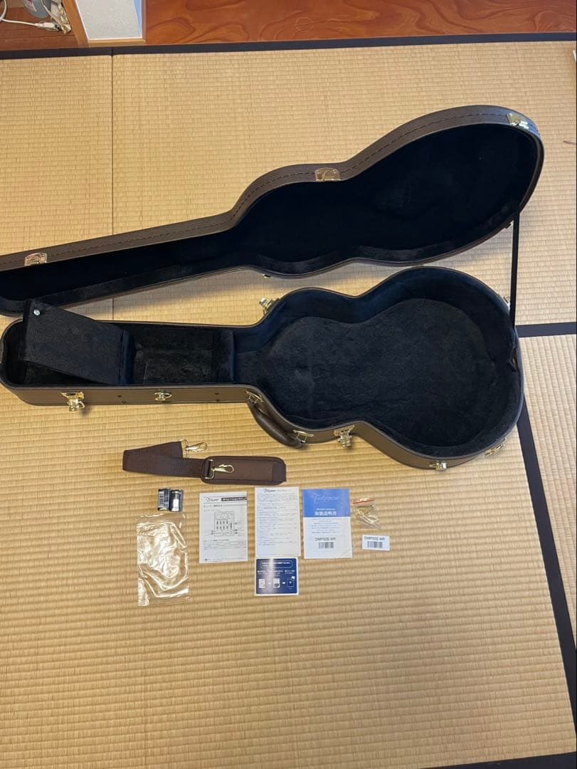 Takamine DMP50S WR アコースティックギター