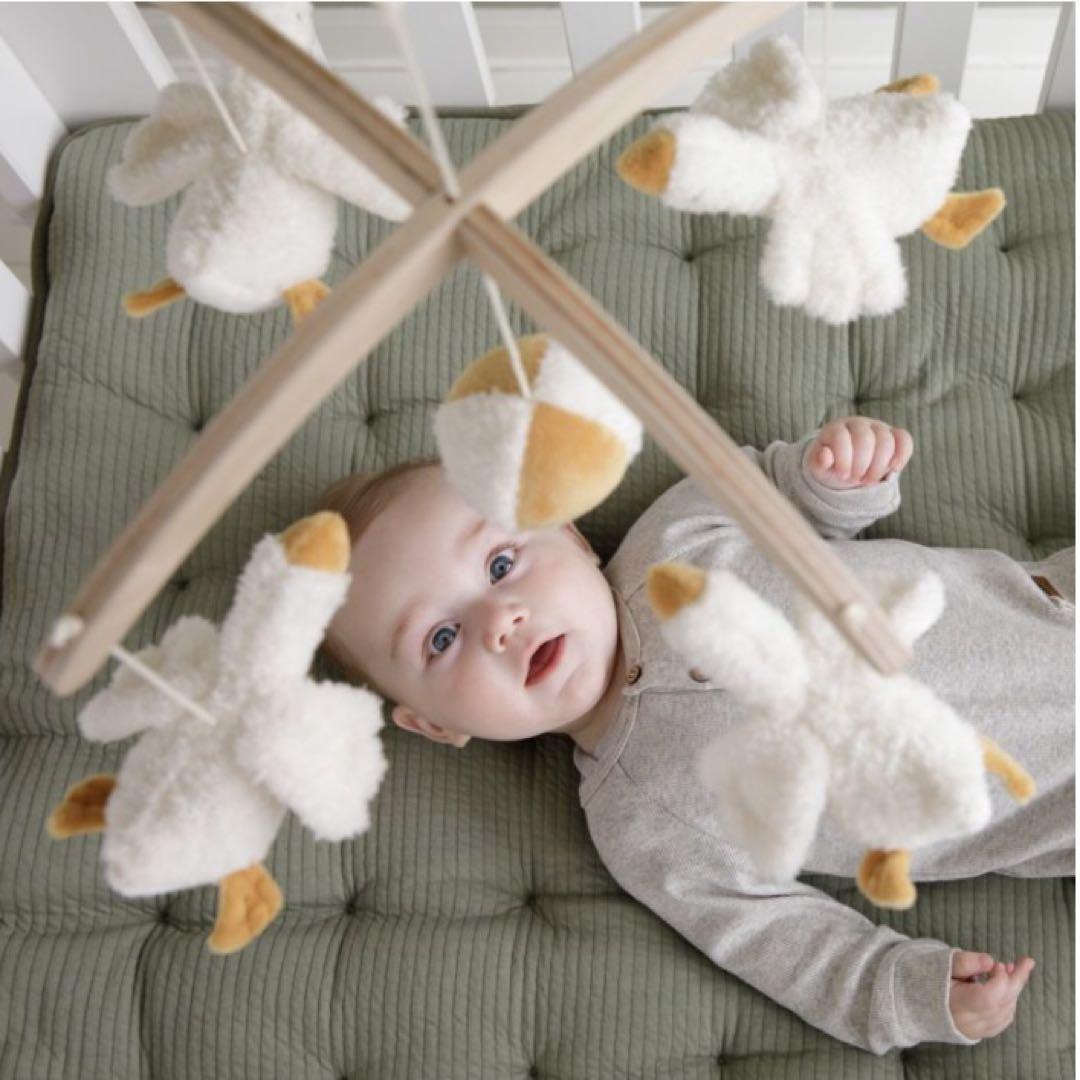 レア⭐︎Little Dutchベビーモービル オルゴールメリー　グース　あひる