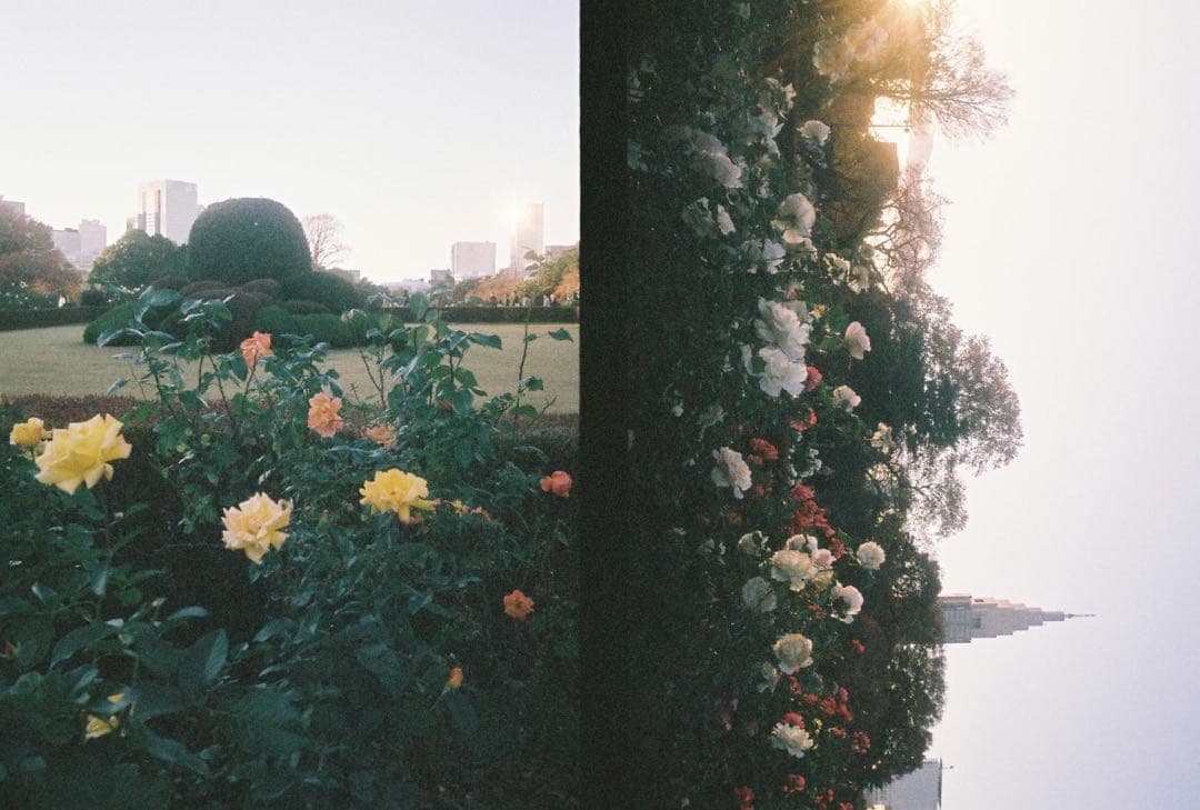 【超美品】OLYMPUS PEN EE-3 フィルムカメラ 35mm