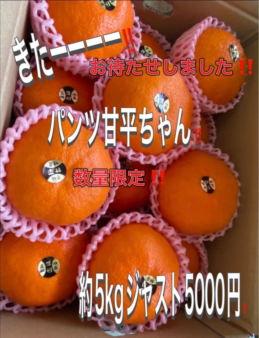 てつさん専用！パンツ甘平2箱