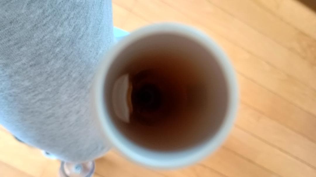 SCD-123P スティッククリーナ