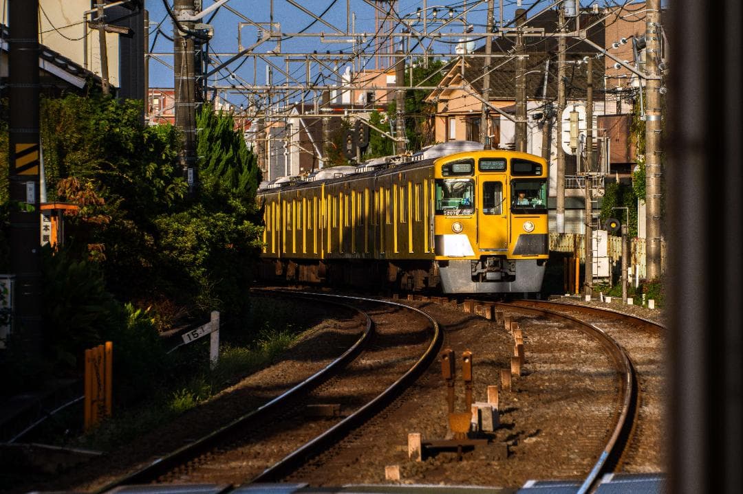 sigma シグマ apo 170-500mm F5-6.3 　αマウント用