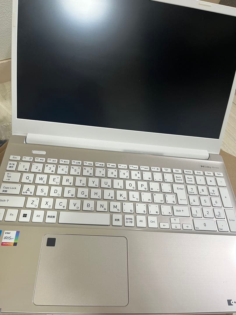 dynabook P1-T5WD-EG ノートPC 本体