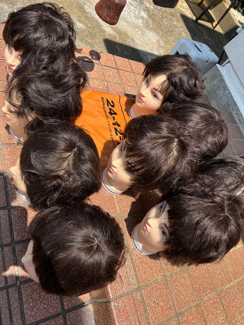 ウィッグ　カット済み　国家試験