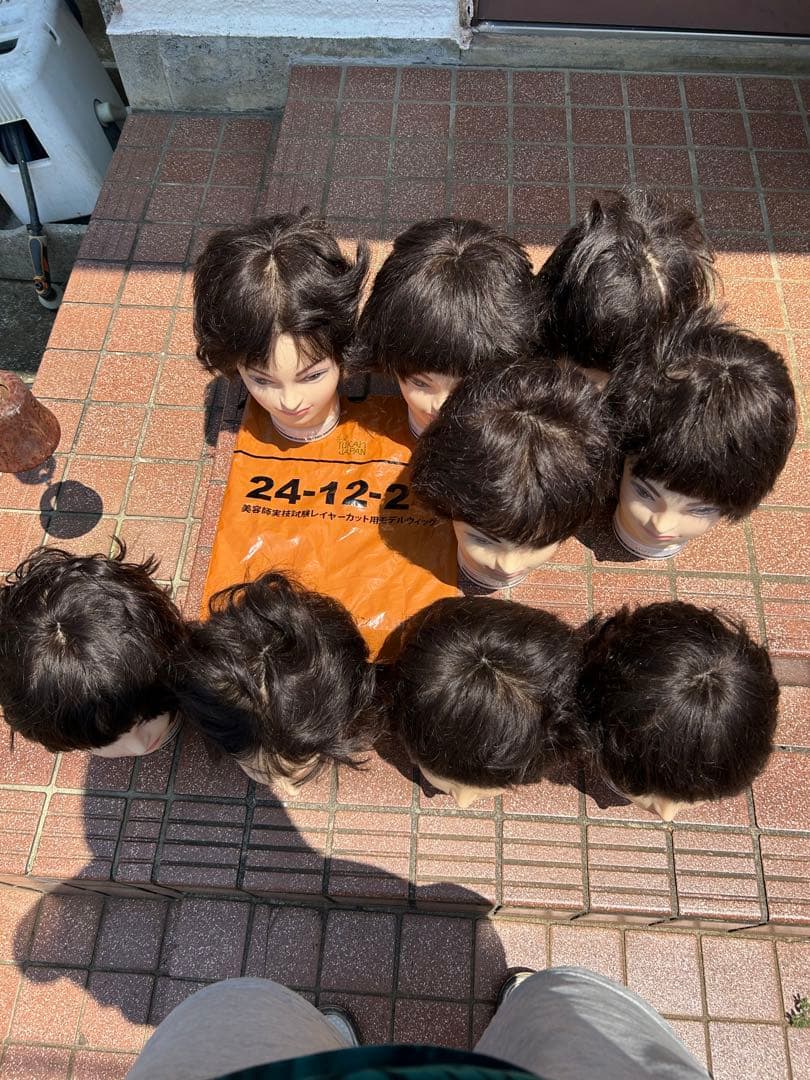 ウィッグ　カット済み　国家試験