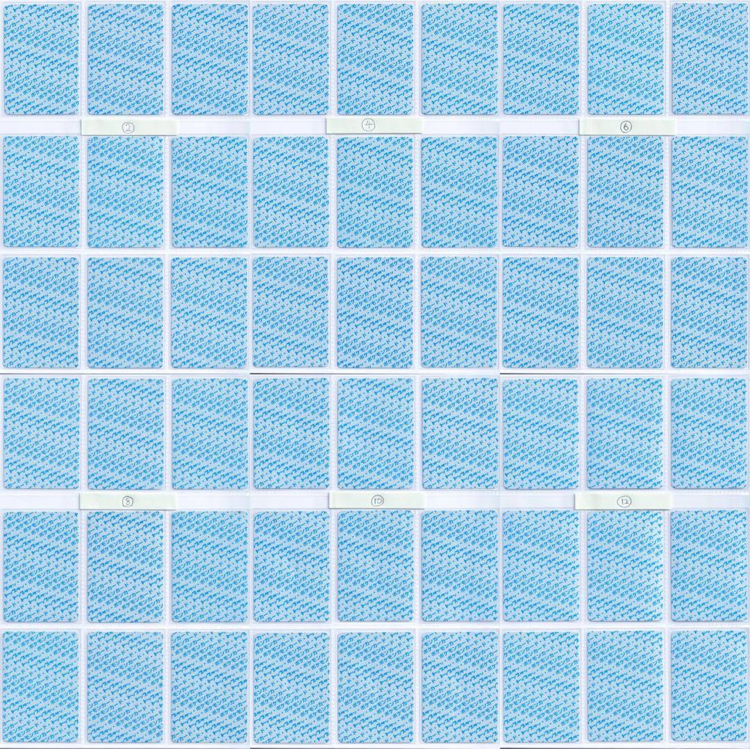 【ゲリラ】トップサン　ポケモンカード　青裏54枚　美品