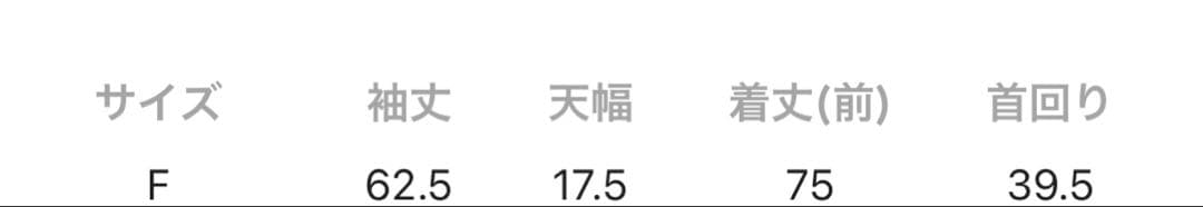 ニコアンド　新品 bewithM Misayoカラフルチェックシャツ モノトーン