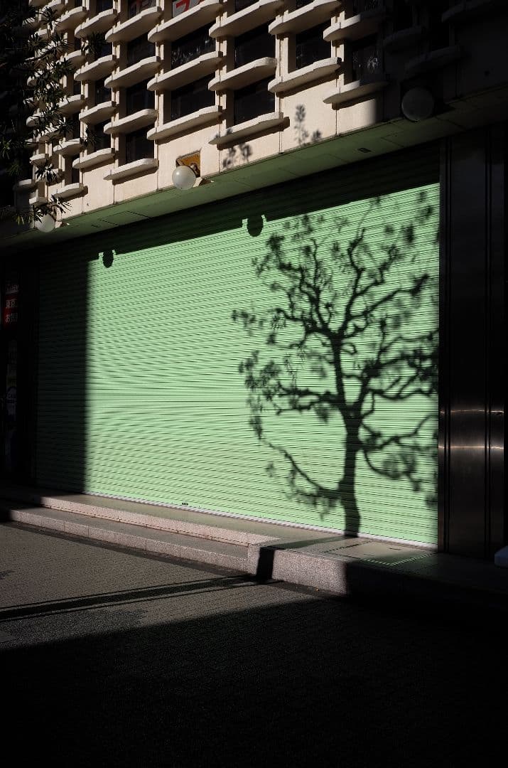 【週末限定値下げ】LEICA X Typ113