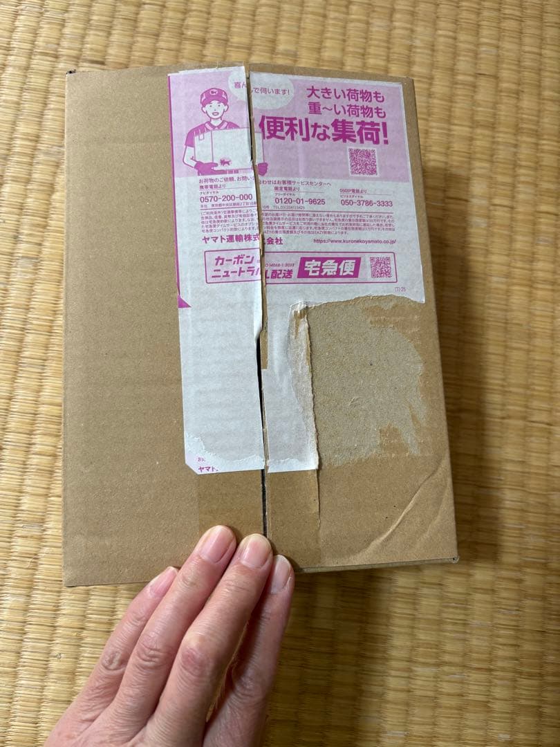 シュリンク付き　ポケモンカードゲーム MEGAドリームEX