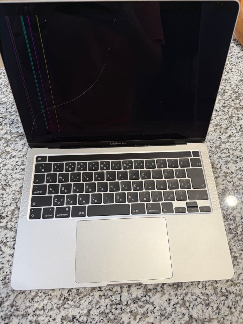 ジャンク品　Apple MacBook Pro A2289 シルバー