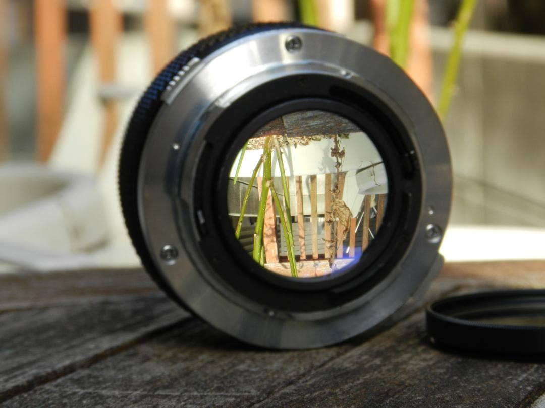 極美品　Olympus G.Zuiko 50mm f1.4　即撮影可