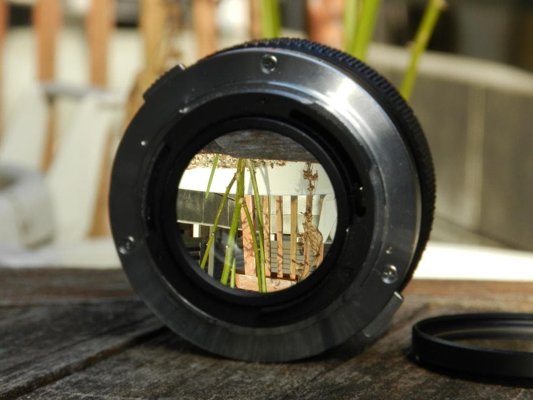 極美品　Olympus G.Zuiko 50mm f1.4　即撮影可