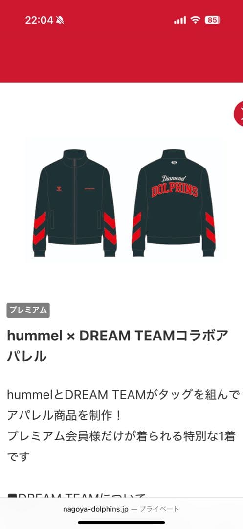 hummel×DREAM TEAMジャケット名古屋ダイヤモンドドルフィンズ非売品