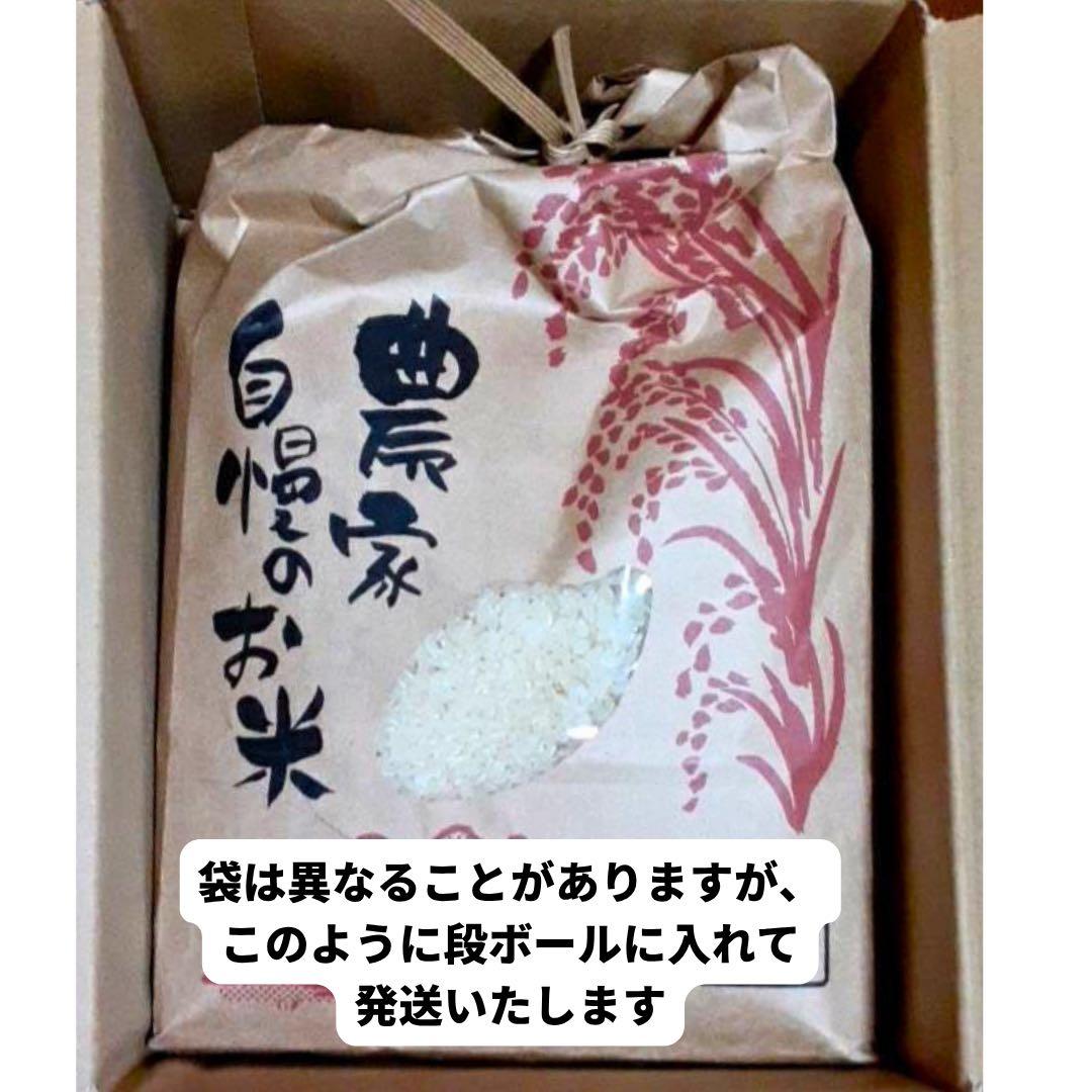 【新米】長野県産コシヒカリ10kg白米