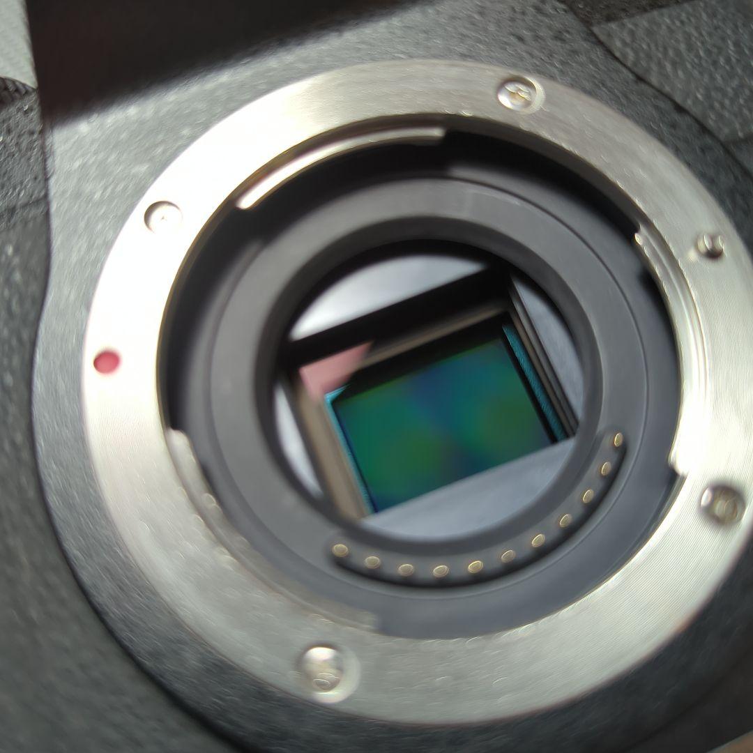 LUMIX DMC-G8 ミラーレス一眼カメラ レンズセット