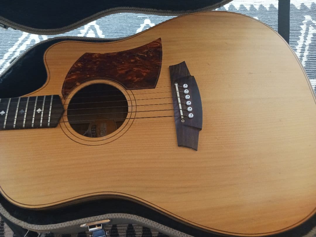 Cole Clark FL2AC　アコースティックギター