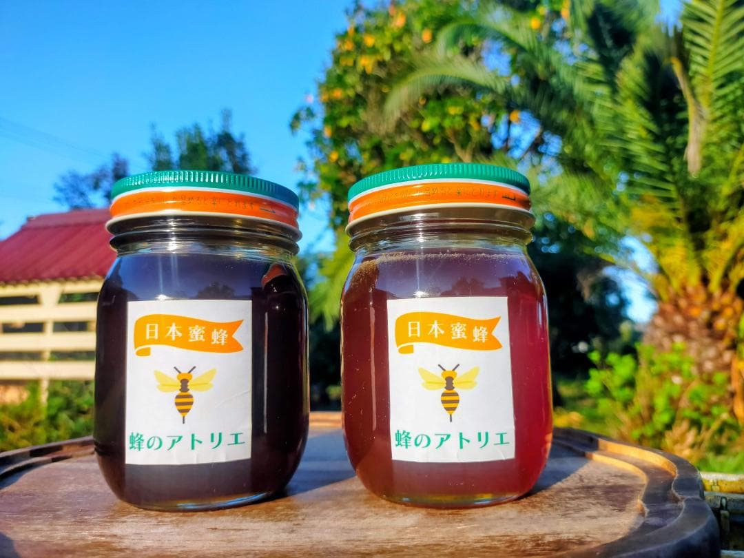 【残り1セット】ニホンミツバチの国産百花蜜 400g×2本