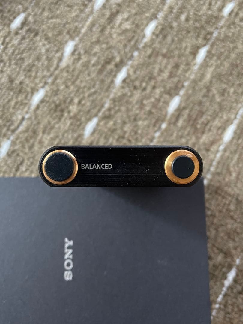 SONY WALKMAN NW-ZX300 64GB カバー付き