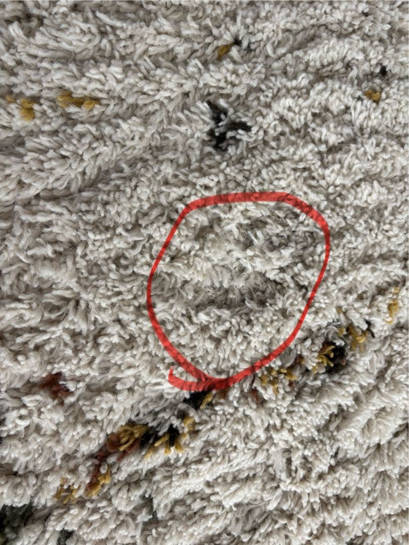 リセノ　BIANCA LINE DOT 200×250　ウィルトン織りラグ