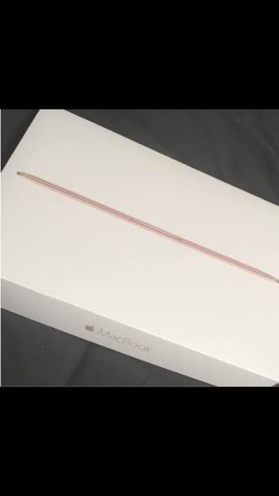 MacBook本体 MacBook 256GB