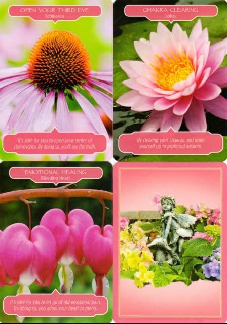 新品未開封　フラワーセラピーオラクルカード