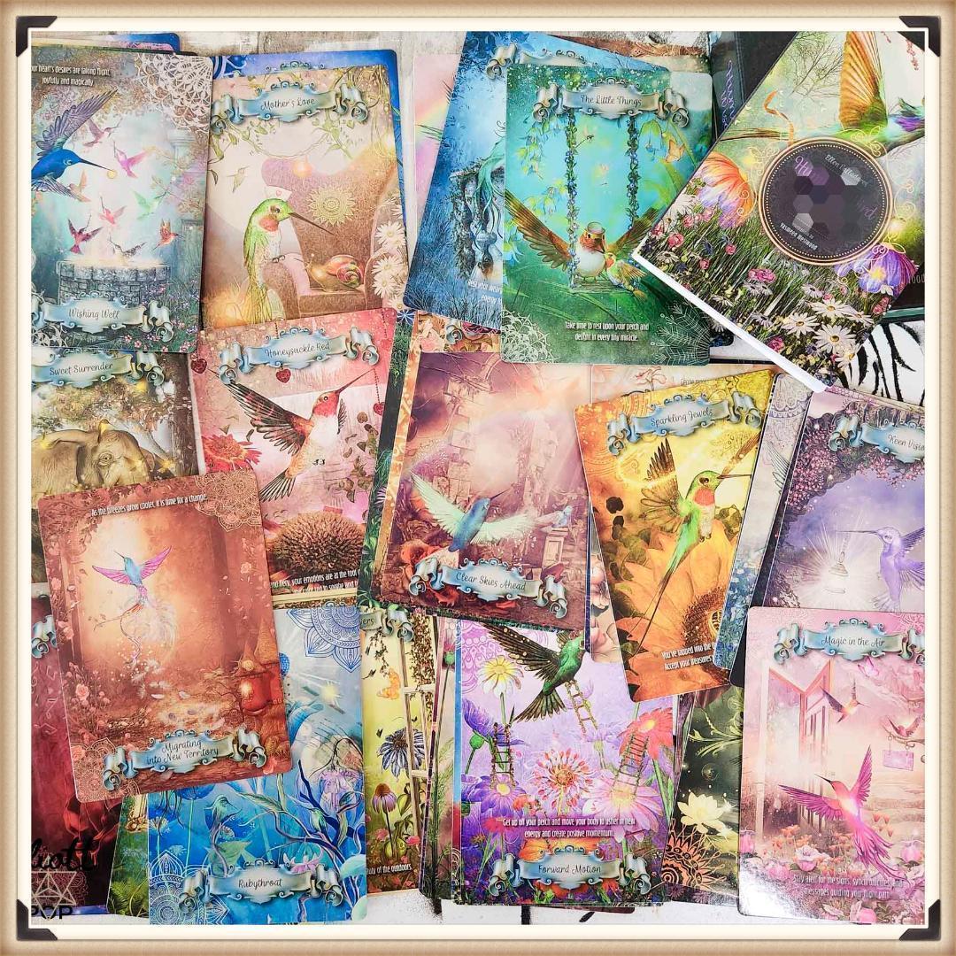 chiaki★フォロー割引