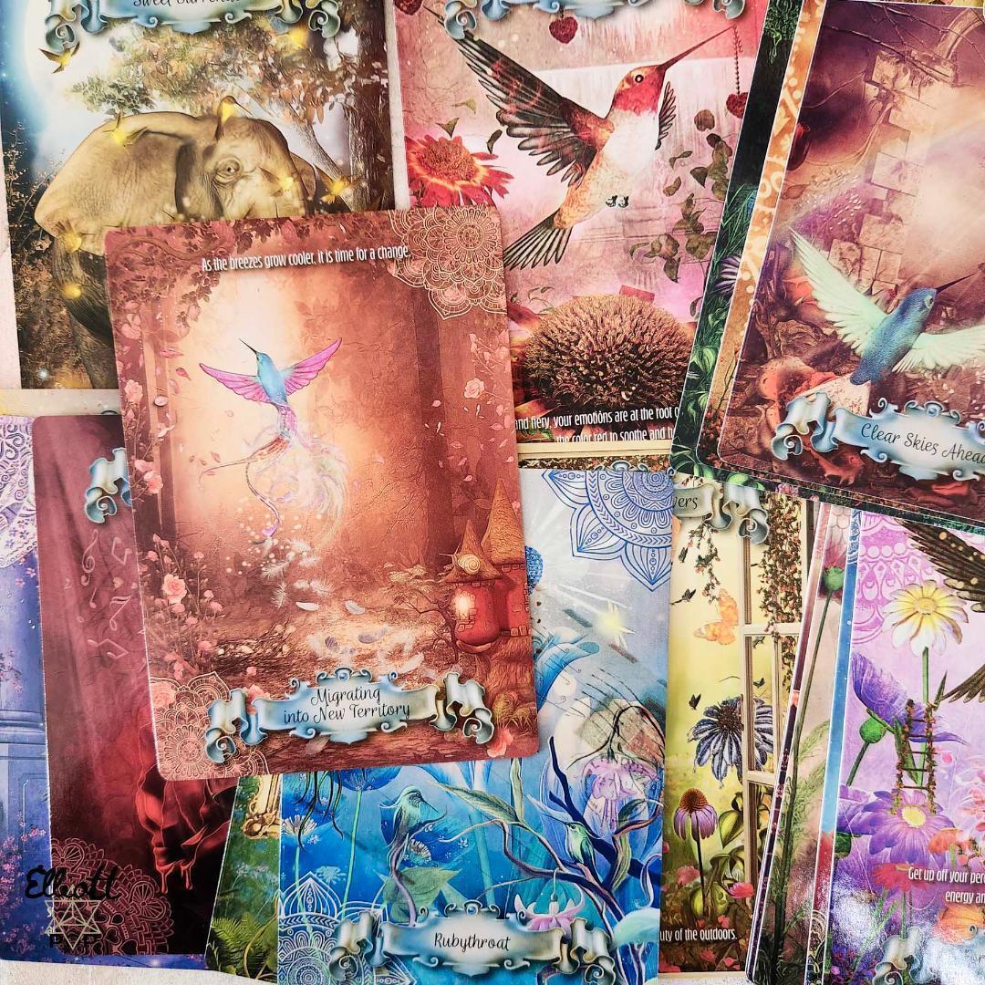 chiaki★フォロー割引