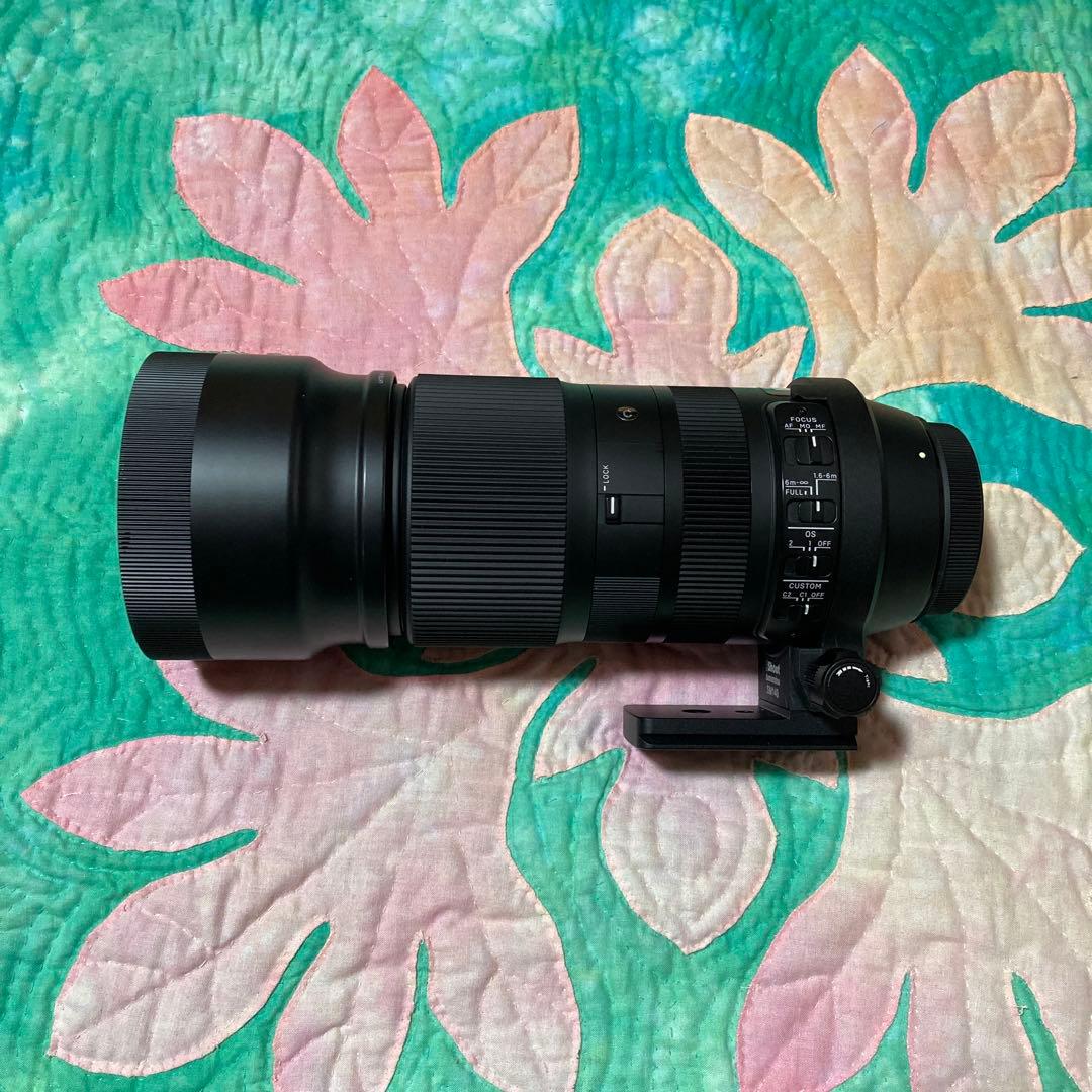 SIGMA 100-400mm F5-6.3 DG OS HSM ✴︎付属品セット