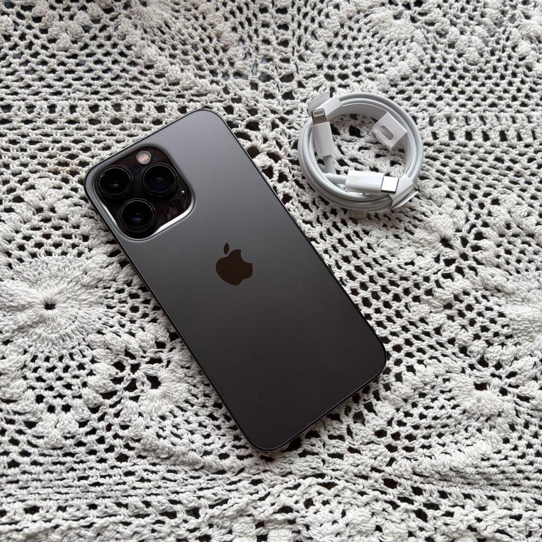 Apple iPhone 13 Pro 充電ケーブル付き【値下げしました】