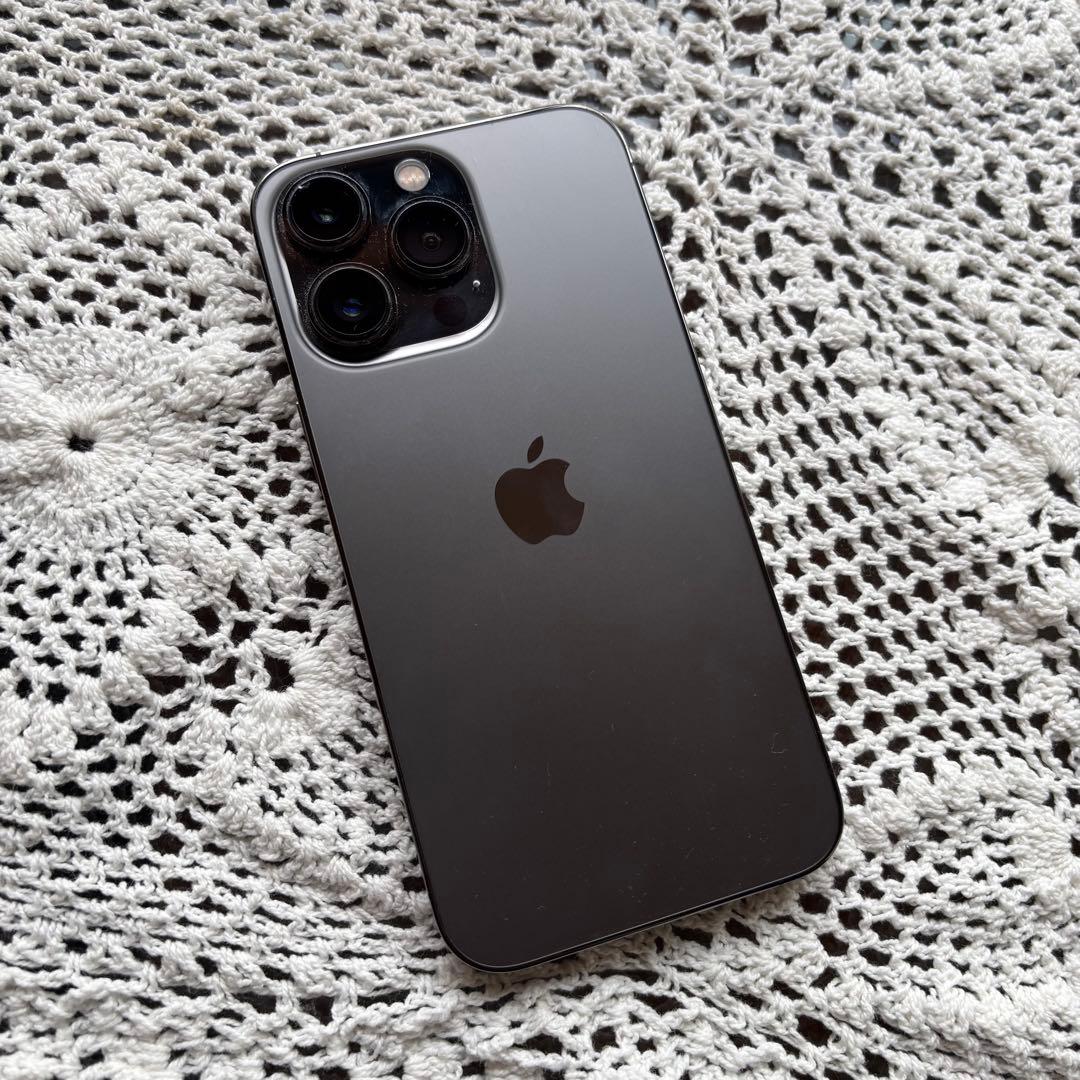 Apple iPhone 13 Pro 充電ケーブル付き【値下げしました】