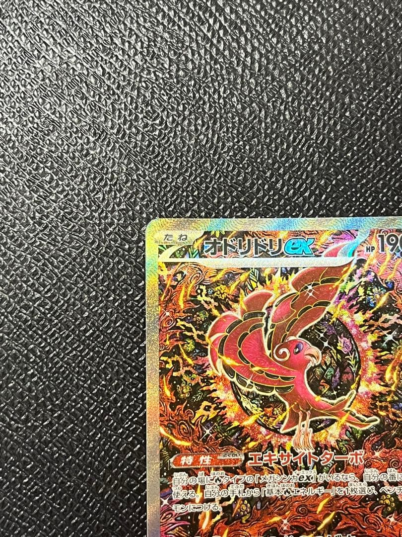 オドリドリex SAR ポケモンカードゲーム　インフェルノ