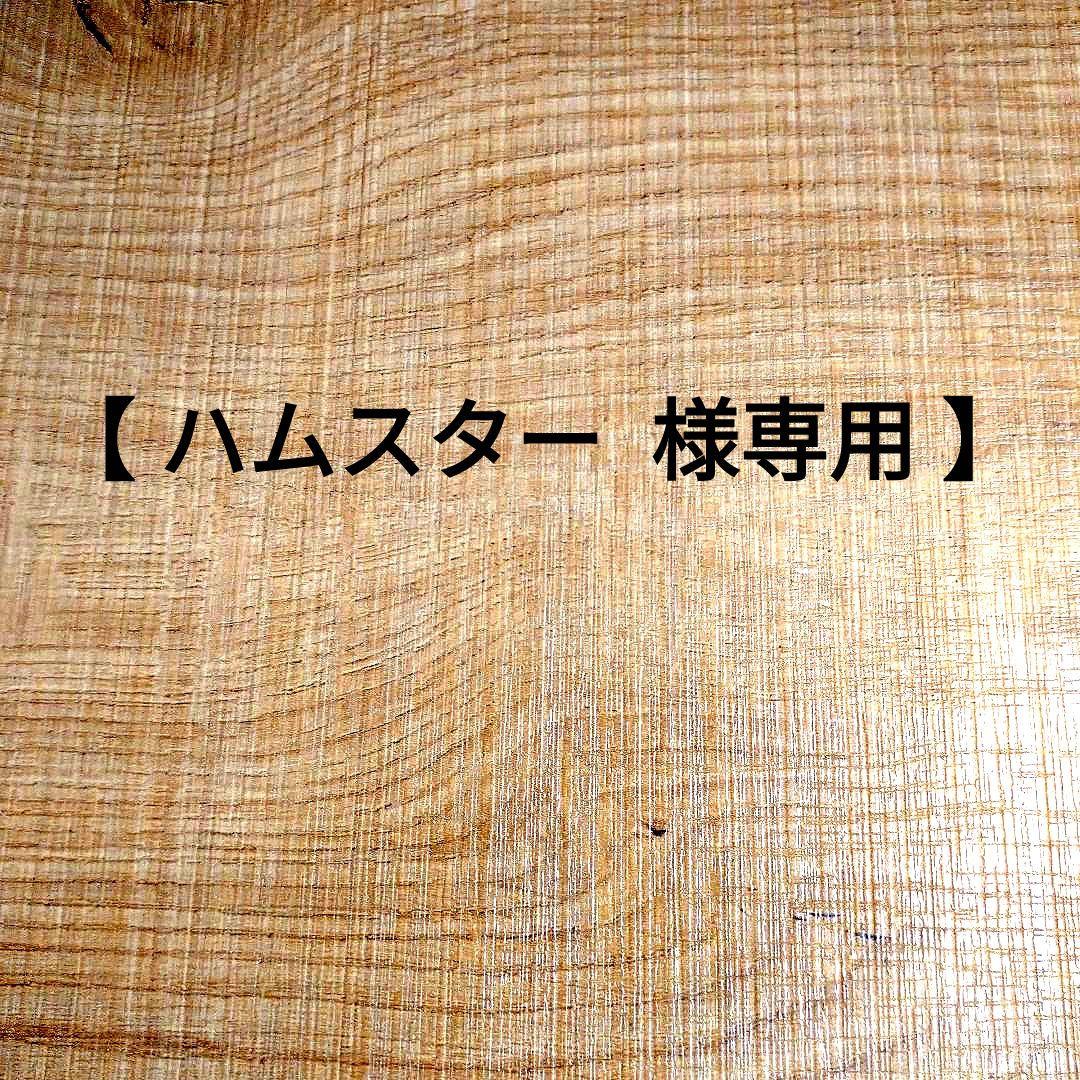 【専用出品】テングビーフジャーキー１２袋セット