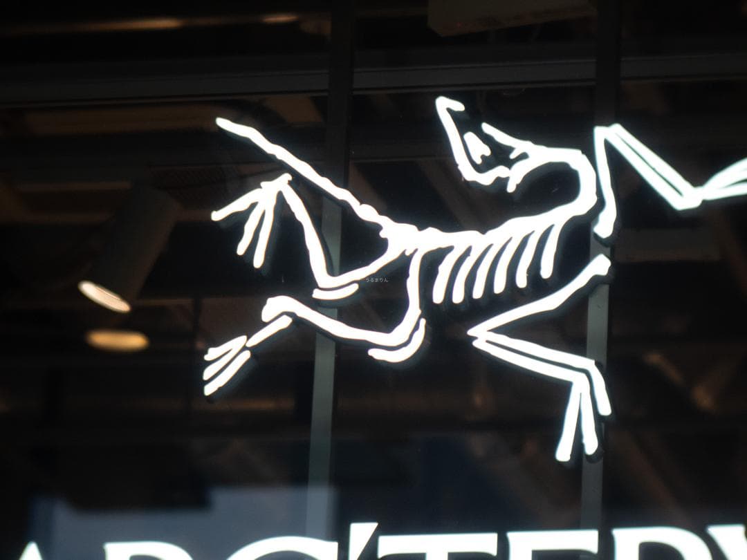 ズノーの中望遠！ZUNOW Cine 38mm F1.1 オールドレンズ