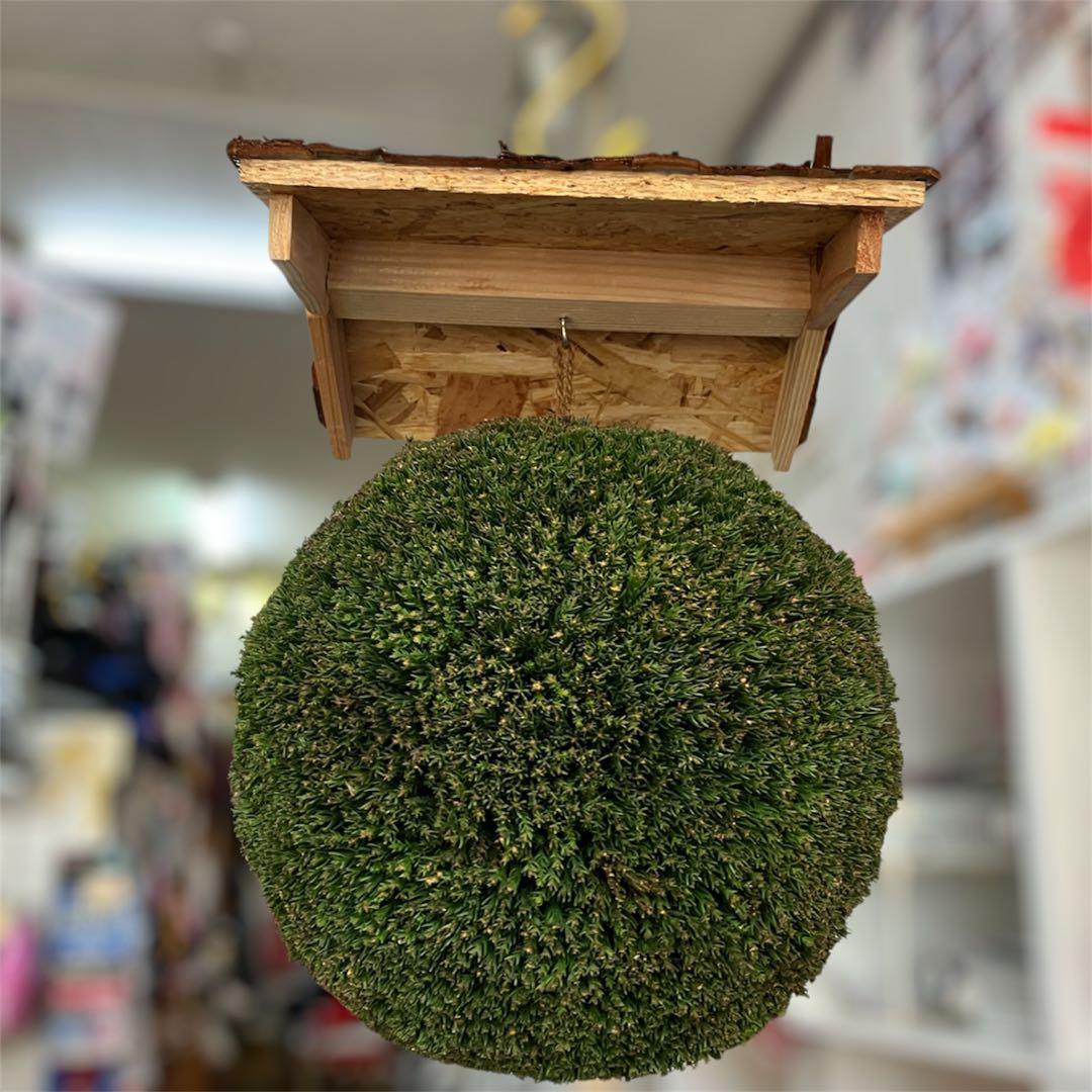 杉玉【屋根付き】⑤