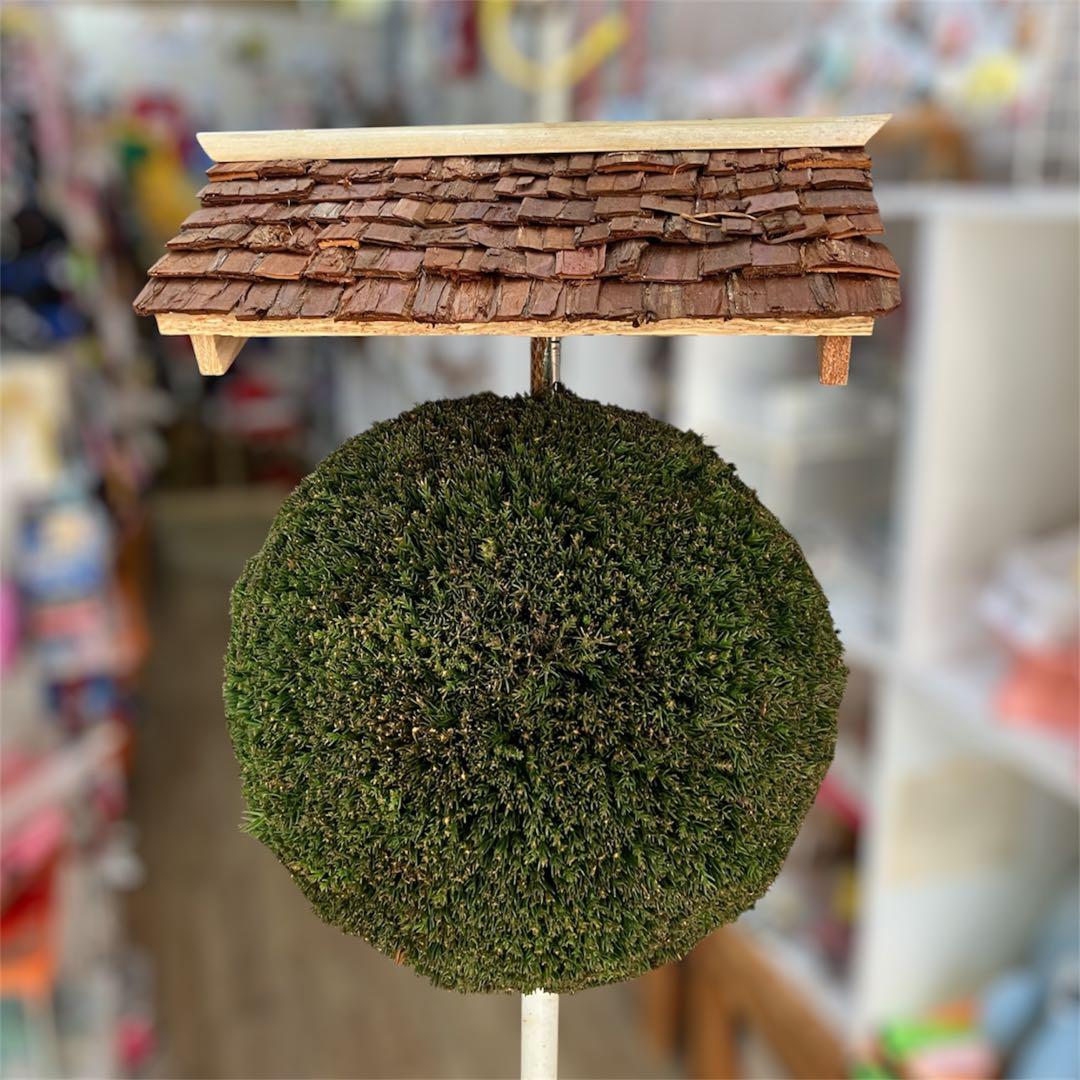 杉玉【屋根付き】⑤